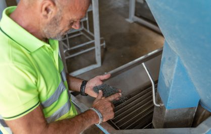 Immagine rappresentativa