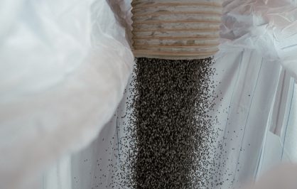 Immagine rappresentativa