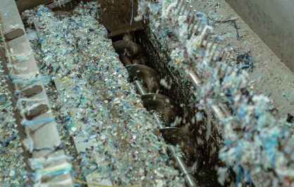 Immagine rappresentativa