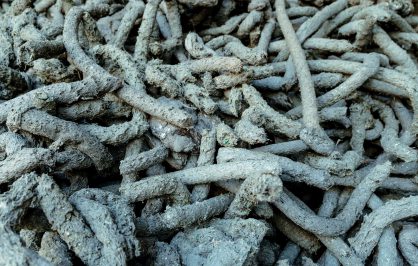 Immagine rappresentativa