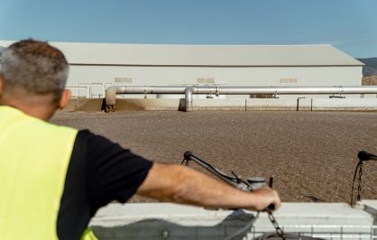 Immagine rappresentativa