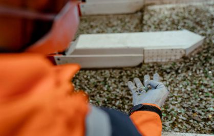 Immagine rappresentativa